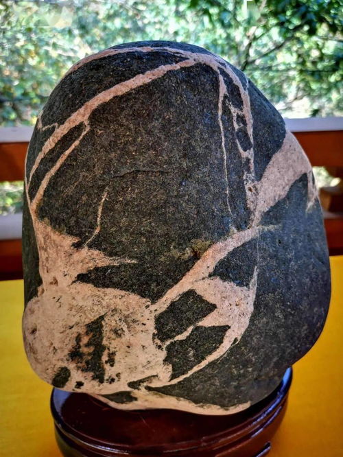 阜平縣第二屆雪浪石文化展 石韻天成，文蘊(yùn)流傳